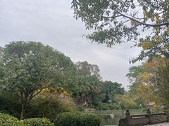 -桂湖森林公园