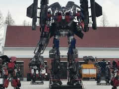 -上海长兴岛郊野公园