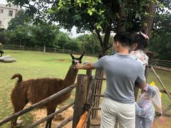 -泉州海丝野生动物世界