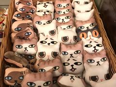 -猫咪博物馆(顶澳仔猫街店)