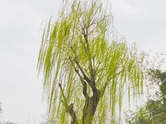 -拙政园