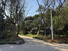 -长广溪湿地公园
