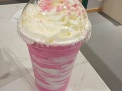 -飞行喵MR PILOT|猫舍·猫咖(静安大融城店)