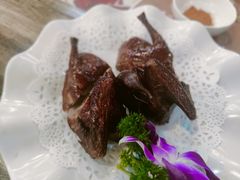 红烧乳鸽-九號渔港·蒸汽海鲜·粤菜茶点(八卦岭店)