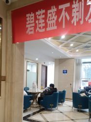 -碧莲盛·不剃发植发