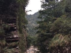 -太湖源风景区