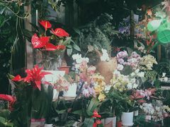 -万商花鸟市场