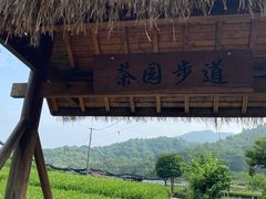 -龙坞茶村