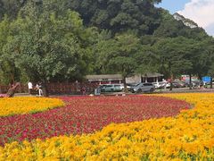 -广州市石门国家森林公园
