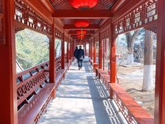 -大觉寺-停车场