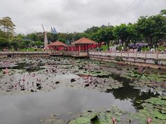 -广州莲花山旅游区