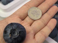 -哈尔信阳光农园超市(沈阳三台子万象汇店)