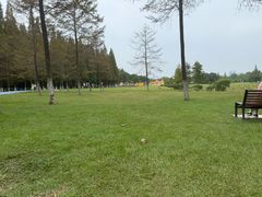 -宜兴龙背山森林公园