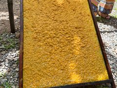 -大象粑粑造纸公园