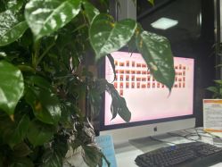 -邦叔叔.亲子全家福毕业照跟拍摄影(嘉定店)