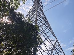 -阳台山森林公园
