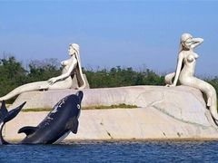 -渔岛海洋度假区