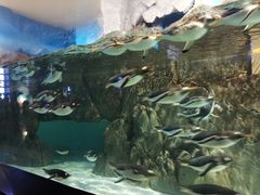 -成都浩海立方海洋公园