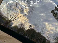 -九科绿洲
