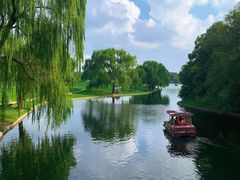 -上海共青森林公园