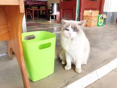 -小鱼草莓采摘园农家乐·小鱼餐厅