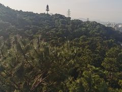 -仙岳公园