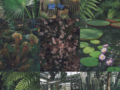 -国家植物园南园