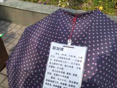 -人民公园-相亲角