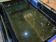 -蓝湾碧波·老字号·疍家非遗海上餐厅