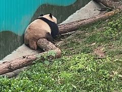 -乐和乐都动物主题乐园