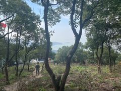 -东山风景区(洞庭东山)
