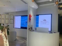 -BELLAREAL新美社
