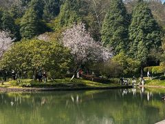 -石峰公园