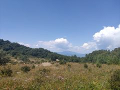 -白草畔自然风景区