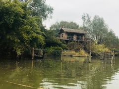 -溱湖国家湿地公园