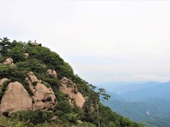 -六里坪国家森林公园