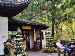-汇龙潭