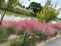-嘉北郊野公园