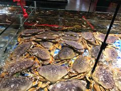 -森谷美食公园(杨行店)