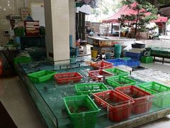 -隆都四季香饭店(碧海路店)