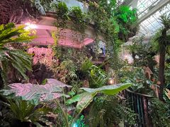 -正佳雨林生态植物园