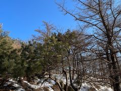 -泰山风景名胜区