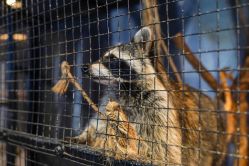 -酷嗒动物文化乐园(cutezoo西溪乐天城店)