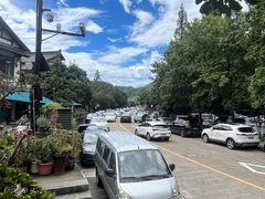 -春娟茶楼·地道农家菜(梅家坞店)