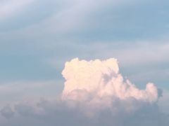 -神光山国家森林公园