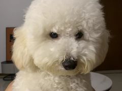 -佳雯宠物医院·皮肤科·内外科(春晓路分院)