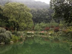 -缙云山景区