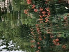 -环城公园