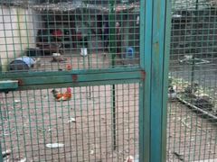 -藏龙百瀑风景区