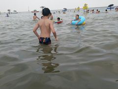 -碧海金沙